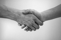 Partner & Freunde